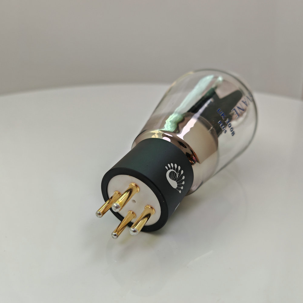 PSVANE UK300B-PLUS Vakuumröhre – Diy Electronics Uk Bewertung und Preis
